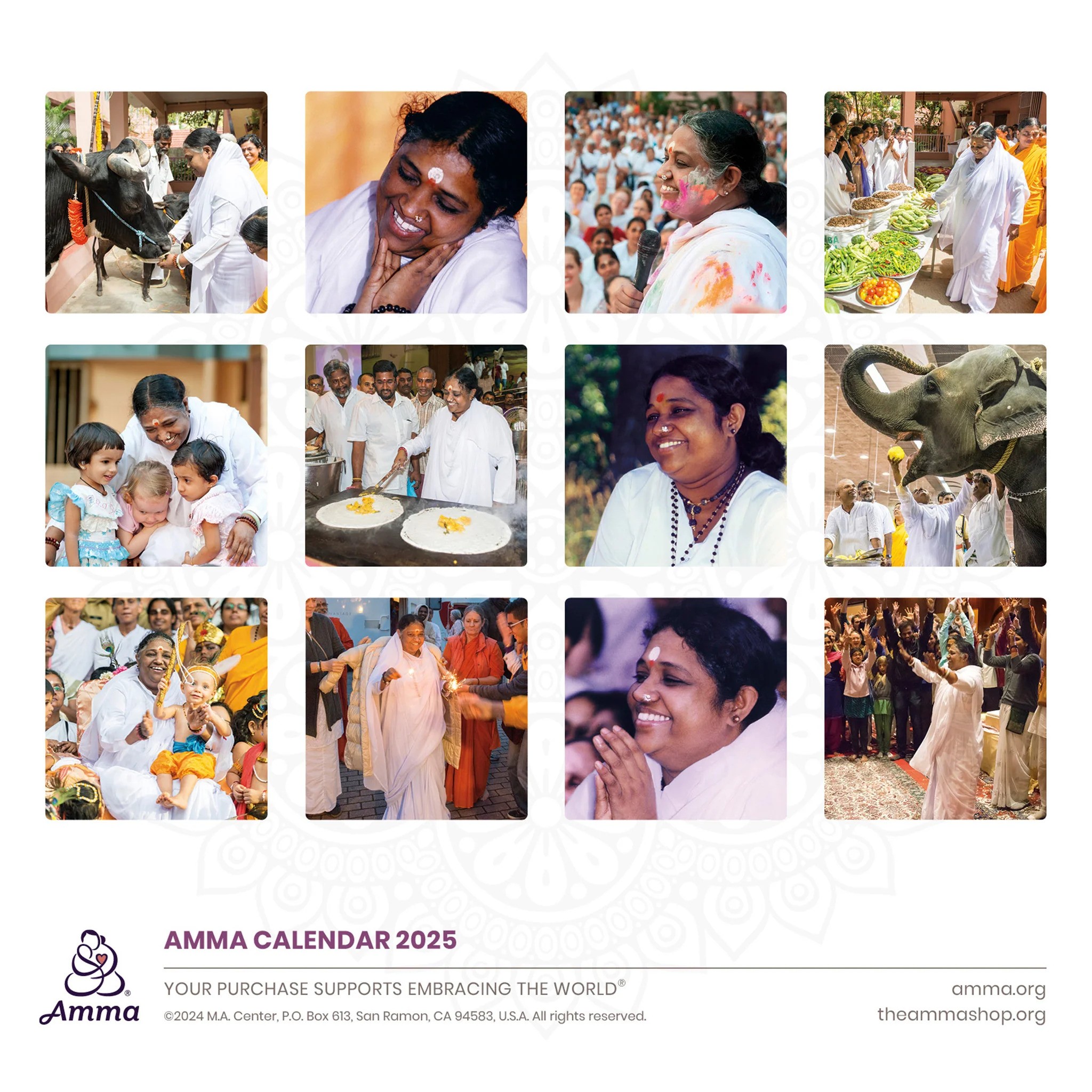 AMMA 2025 Calendar