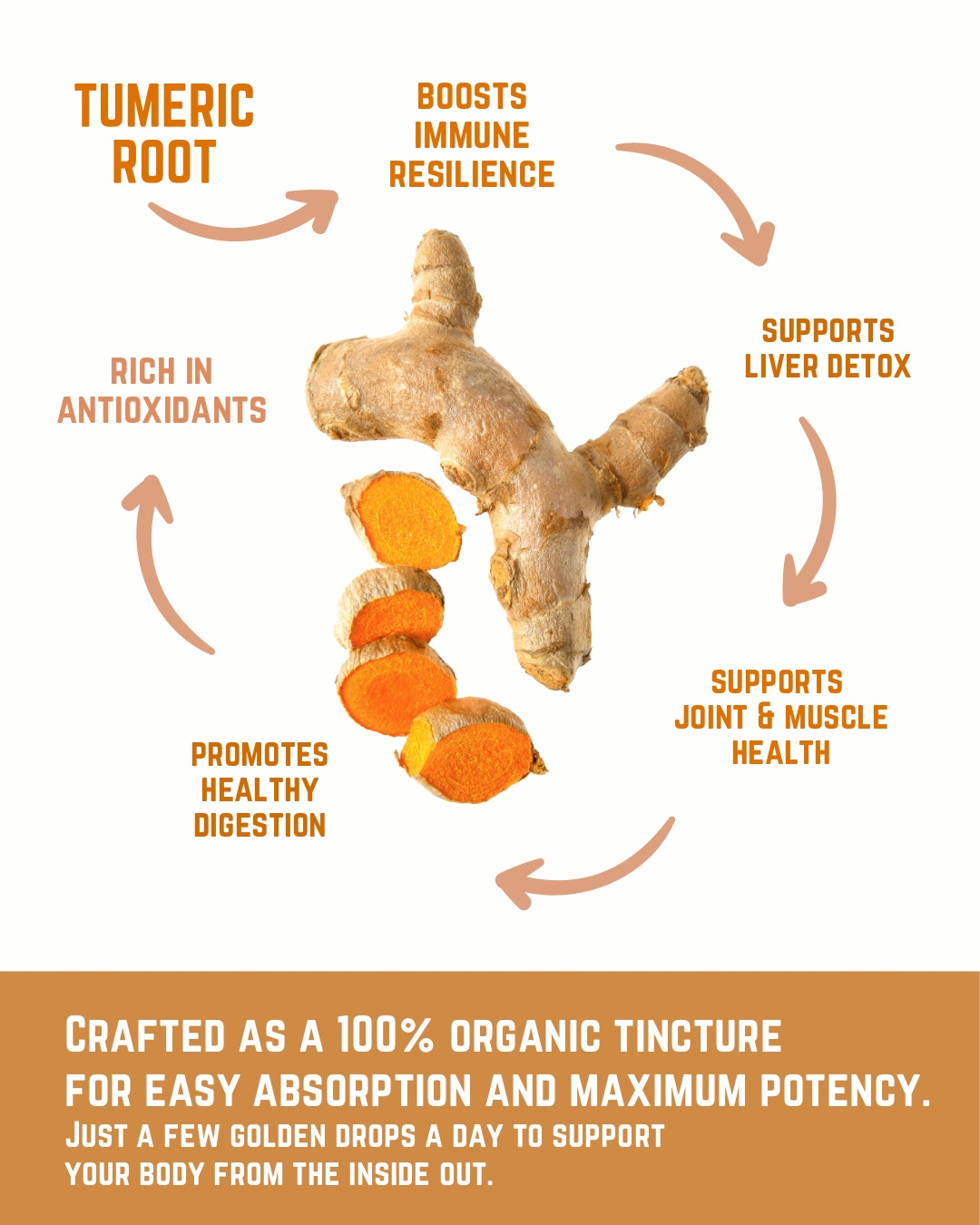 Turmeric tincture, organic