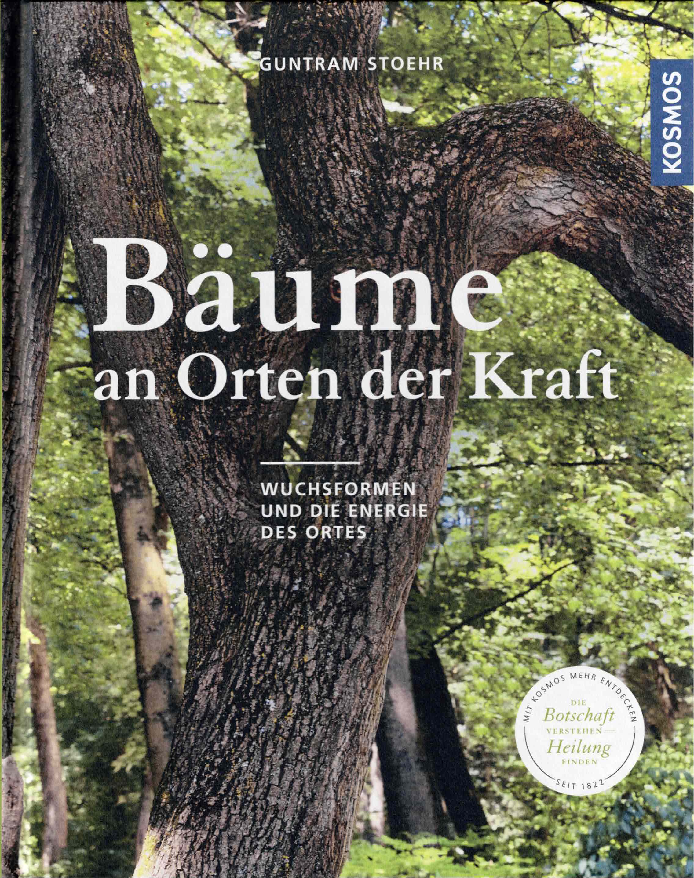 Bäume an Orten der Kraft