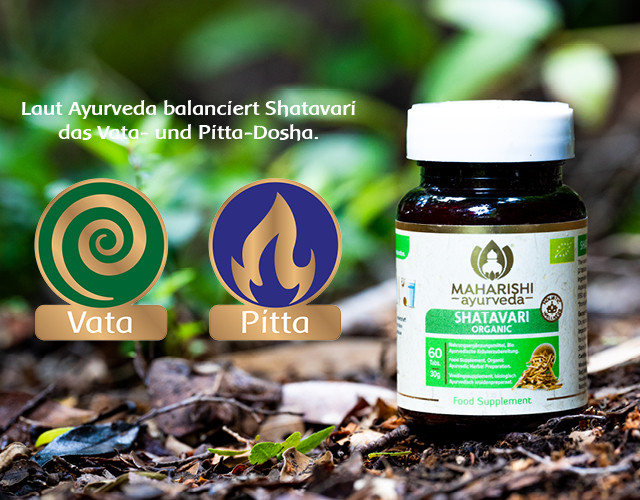 Shatavari, Maharishi Ayurveda, organic